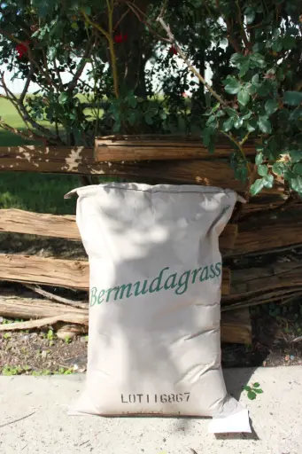 Hulled Raw Bermuda 